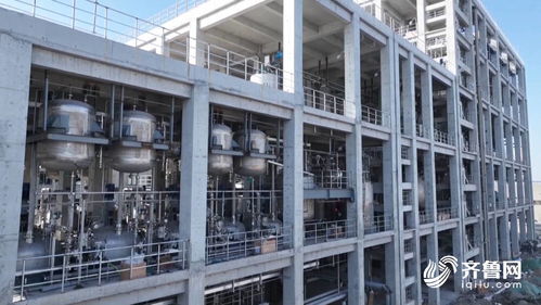 新培育國家級綠色工廠19家 德州厚植新型工業化生態底色
