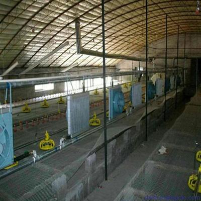 東北養雞育雛溫控鍋爐 育雛升溫設備 - 偉松 - 九正(中國建材第一網)