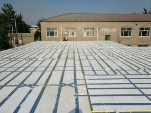 傳統建材生產受限,今后我們用什么建房