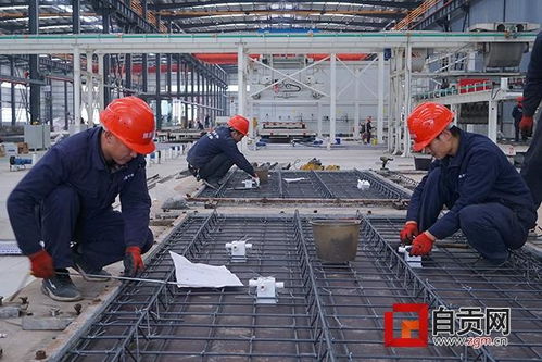 四川強(qiáng)固建科新型建材產(chǎn)業(yè)基地項(xiàng)目已投入試生產(chǎn)